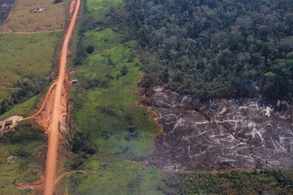 Część obszarów lasów Amazonii emituje więcej dwutlenku węgla, niż może pochłonąć. Nowe badania