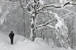 Rzym sparaliżowany; zamknięte szkoły, ograniczone kursowanie autobusów