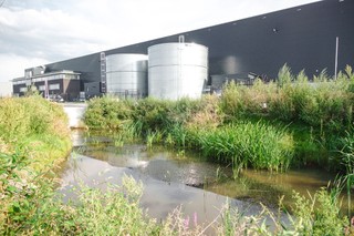 Raportowanie zrównoważonego rozwoju na nowych zasadach dla gigantów rynkowych