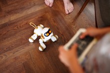 Pupil z instrukcją obsługi. Robopsy napędzają rynek robotyki