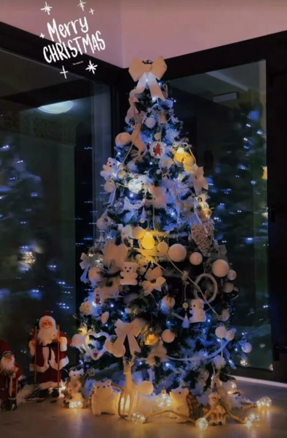 Dom Olivere i Nebojše Gudelja