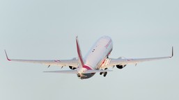 wojskowe samoloty lecą po polaków do omanu