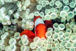 Wakacyjny quiz biologiczny.  Sprawdź swoją wiedzę. 6/10 punktów to rewelacyjny wynik