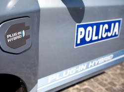 Pies pogryzł dziecko. Znowu