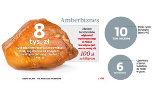 Złoża bursztynu na wagę złota. Nielegalne wydobycie jantaru na celowniku