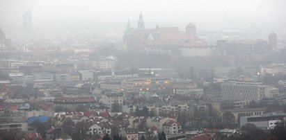 Krakowiacy walczą ze smogiem!