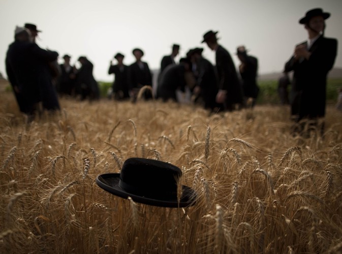 Żydowskie święto Szawuot