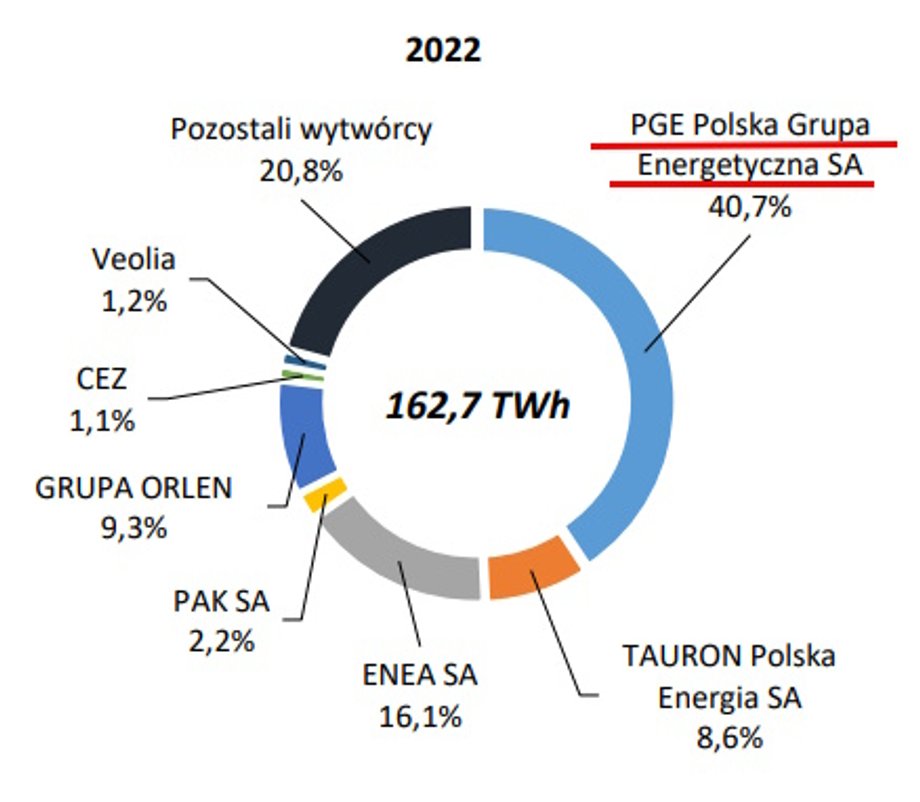 Udział grup kapitałowych w ilości energii elektrycznej wprowadzonej do sieci w 2022 r.