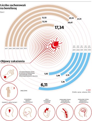 Liczba zachorowań na boreliozę