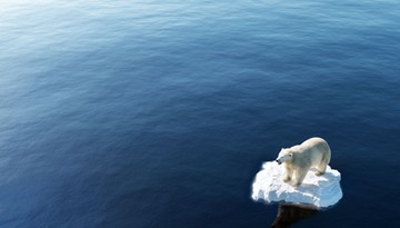 Noblista o zmianach klimatycznych. Mówię ludziom: zapłacicie więcej za prąd, nie będziecie mogli latać samolotem tak często jak dotychczas”