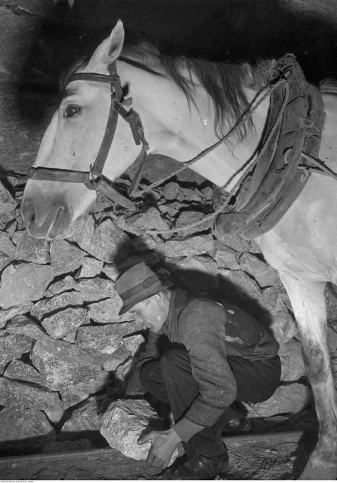 Załadunek brył soli na wózki z zaprzęgiem konnym w kopalni, około 1939-1944 roku