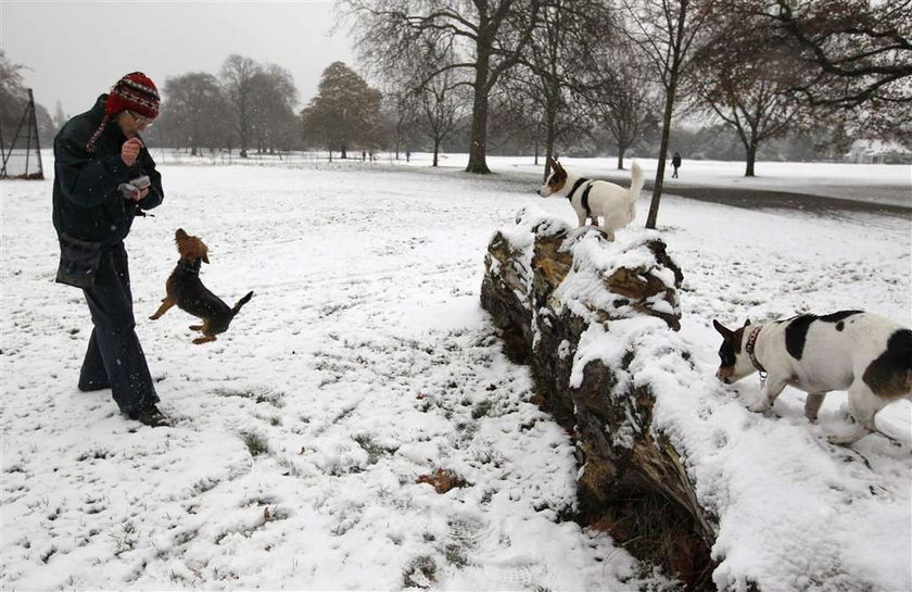 W Anglii spadł śnieg