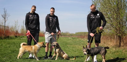 Wspaniała akcja! Zawodnicy Legii Warszawa zachęcają do adopcji psów ze schroniska