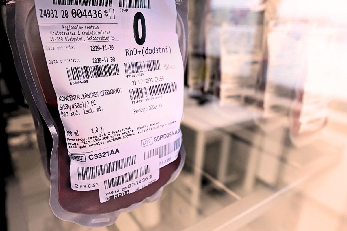 Worek krwi z oznaczeniem grupy – rzadkie grupy krwi i rekompensata do 500 zł w 2025 roku