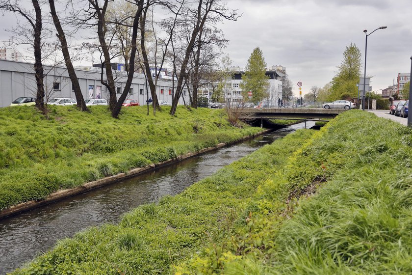 Katowice. Oczyszczanie Rawy