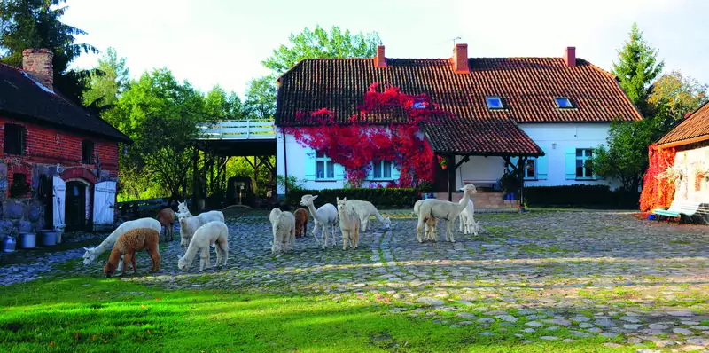 Gościniec Bocianowo / fot. Kornelia Westergaard