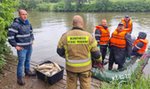 Śnięte ryby płyną z Czech do Polski. Czy to początek kolejnej katastrofy nad Odrą?