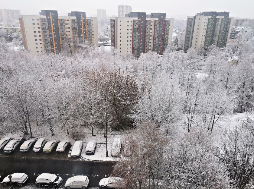 Pierwszy w tym roku atak zimy w Polsce. Biały puch pokrył miasta