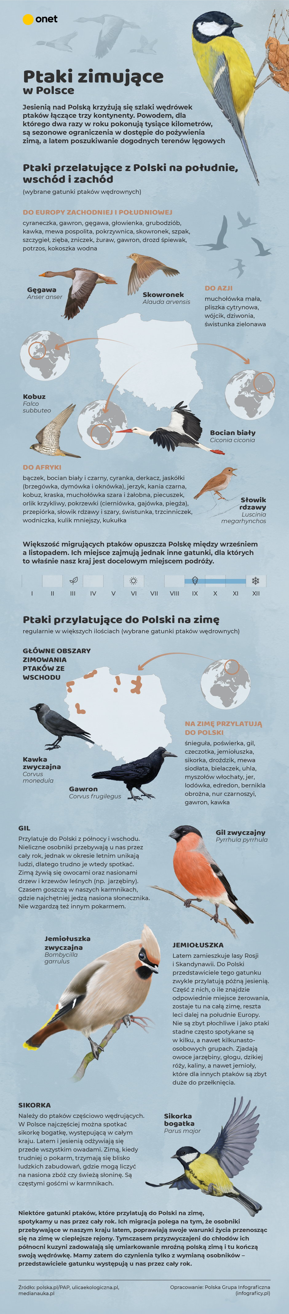 ptaki zimowanie Polska-01