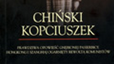 Chiński kopciuszek. Fragment książki