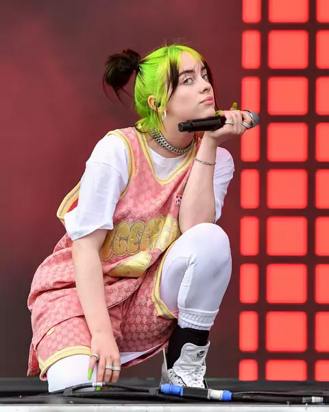 Billie Eilish / Foo Erika Goldring / GettyImages 