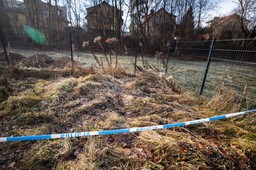 zabójstwo 11-letniej danusi. "policja ustaliła tożsamość dwóch osób"