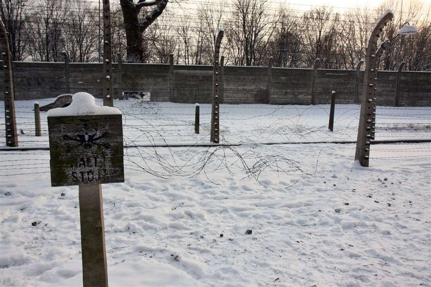 Wstyd na cały świat! Kradzież w Oświęcimiu