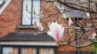 kiedy koniec mrozów 2026? kiedy będzie ciepło? polska podzielona na pół, zima nie odpuszcza długoterminowa prognoza pogody imgw