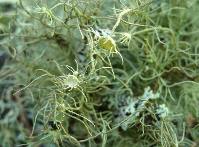 Uroki Puszczy Białowieskiej © www.tydecydujesz.orgFot. Jacek Winiarski