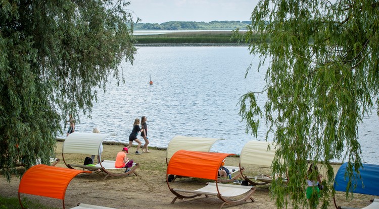 Felemásan szerepeltek a Tisza-tavi büfék, éttermek az ellenőrzéseken Fotó: Knap Zoltán/Bikk