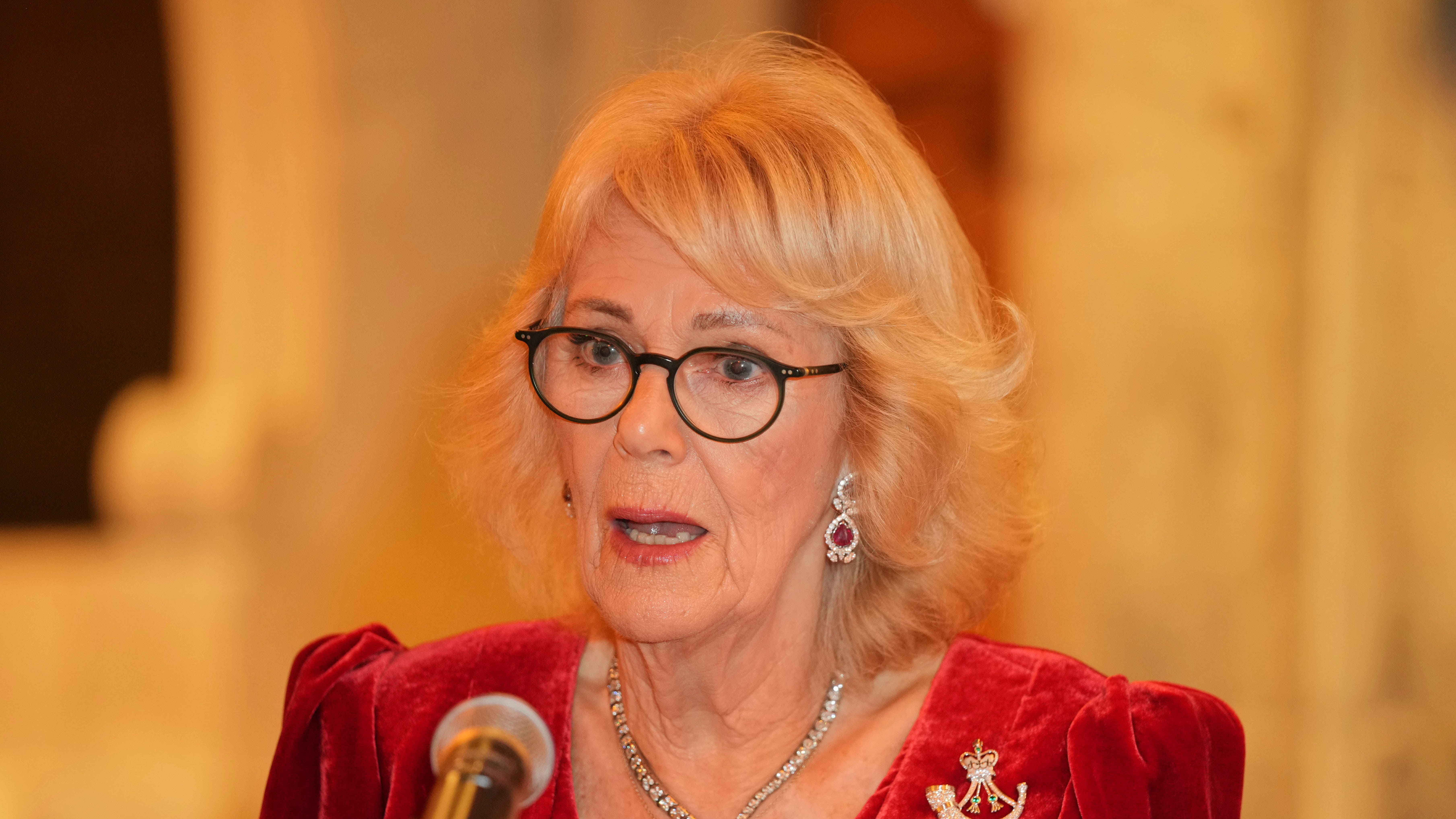 Queen Camilla reveals train attack for first time: 'I fought back as a teen'