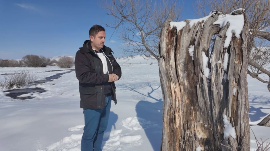 Tri puta je udarao grom u "drvo ljubavi"