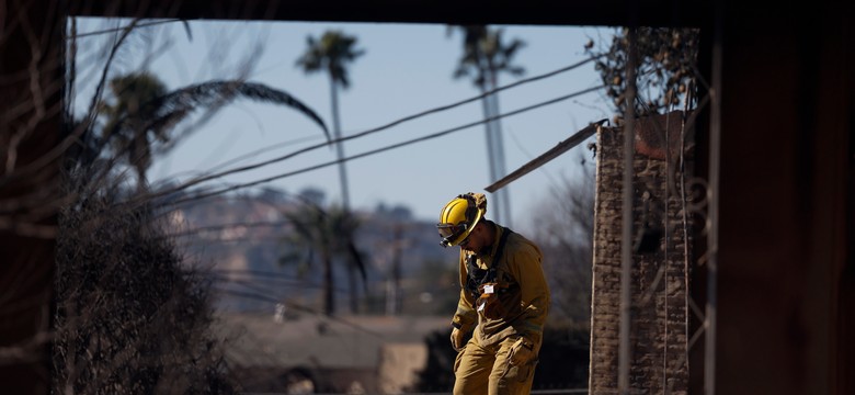 Pożary w Los Angeles. Winne wadliwe linie energetyczne?