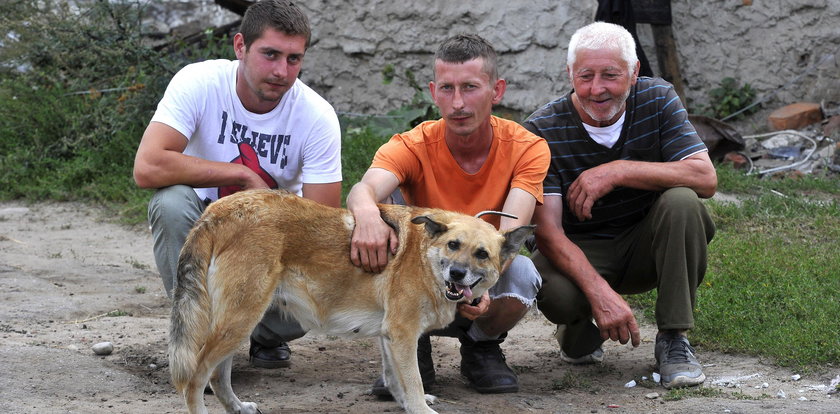 Dzielny pies uratował rodzinę przed pożarem. „Gdyby nie Juka, zostałyby z nas tylko węgielki”