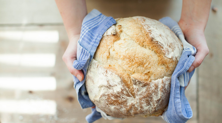 Teljes kiőrlésű kenyereket ellenőrzött a Nébih./ Fotó: Pexels