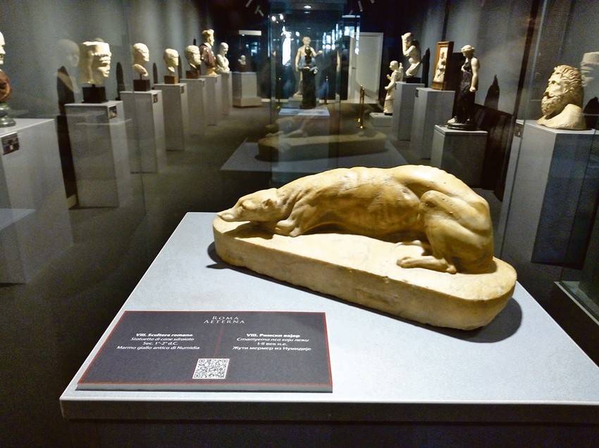 Izložba će u zbirci strane umetnosti Muzeja grada Novog Sada biti otvorena do 11. septembra