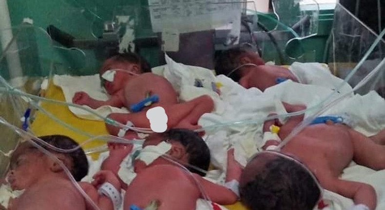 Quintuplets born to Everlyne Namukhula who hails from Sisokhe village in Navakholo Sub County (Twitter)