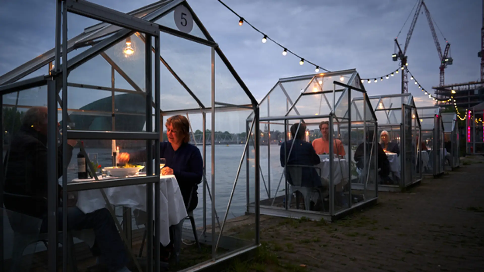 Stoliki w indywidualnych szklarniach. Czy tak wygląda przyszłość gastronomii?