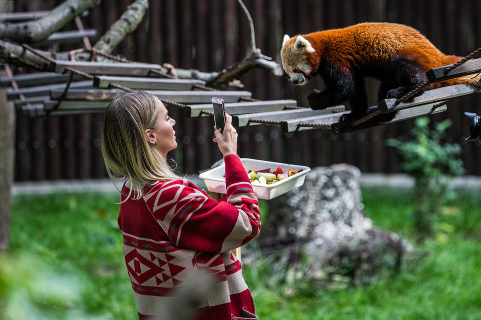 Agnieszka Woźniak-Starak w poznańskim ZOO