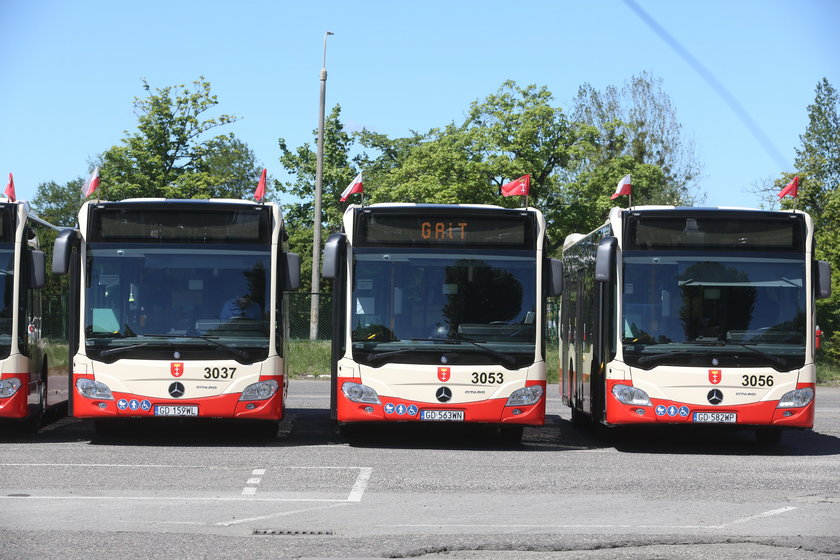 Nowe autobusy w Gdańsku