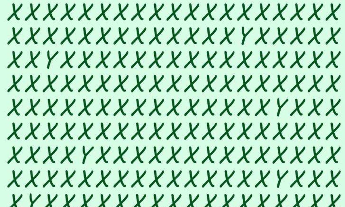 Trudny test na spostrzegawczość. Większość tego nie widzi