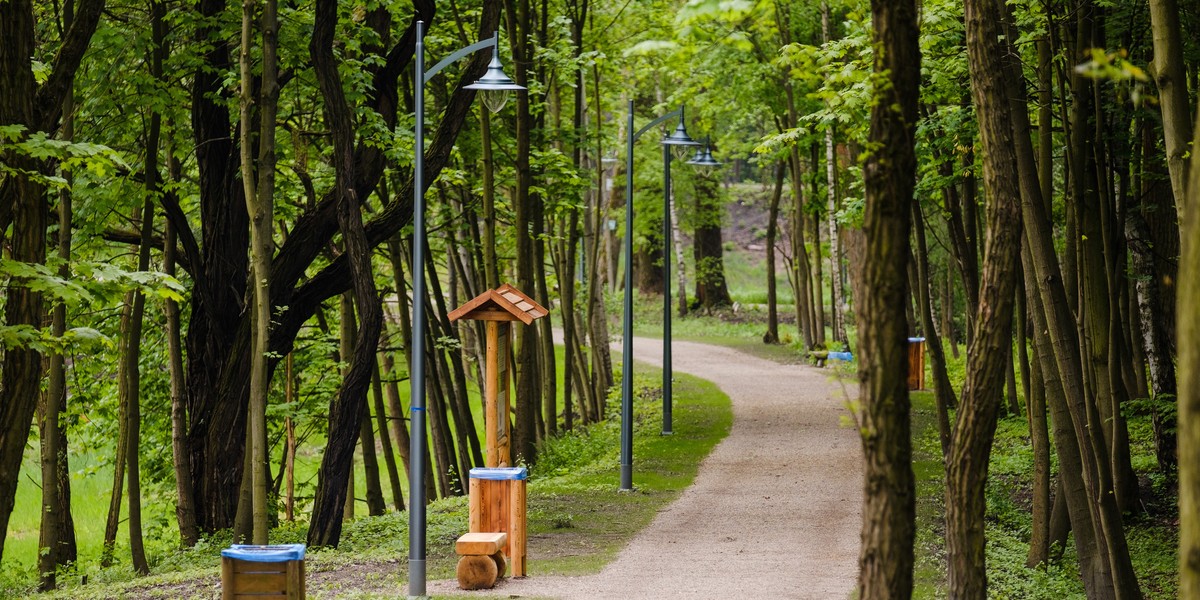 Park Tysiąclecia przeszedł metamorfozę