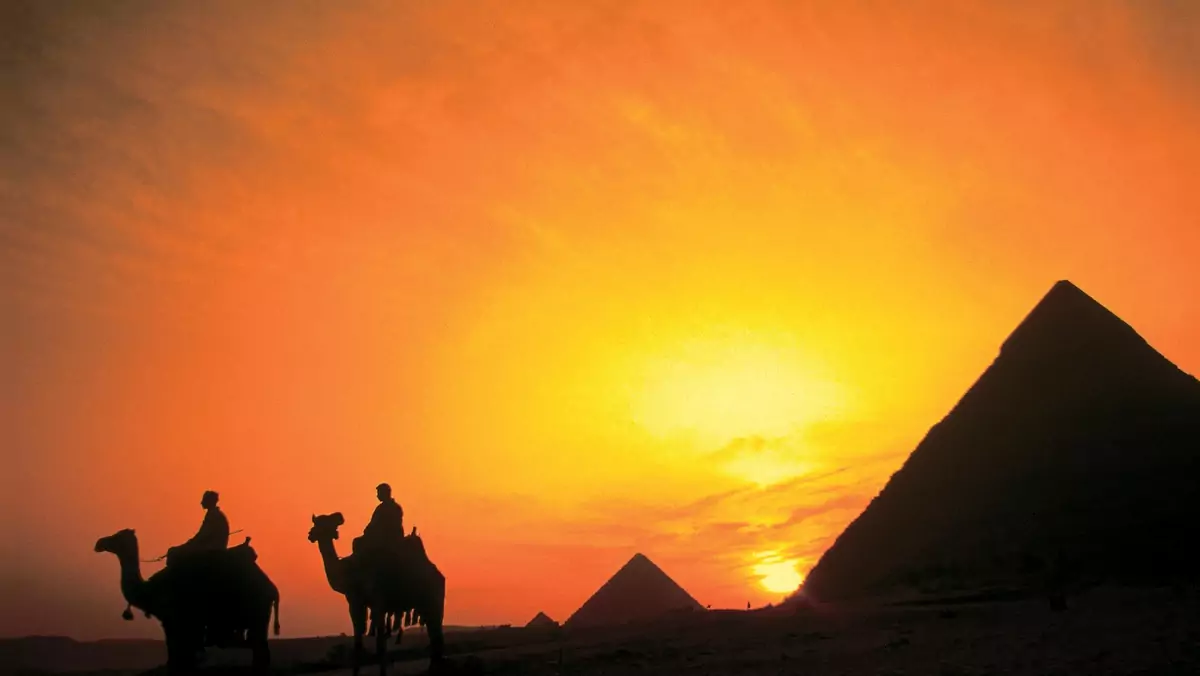 Egipt dromader piramidy