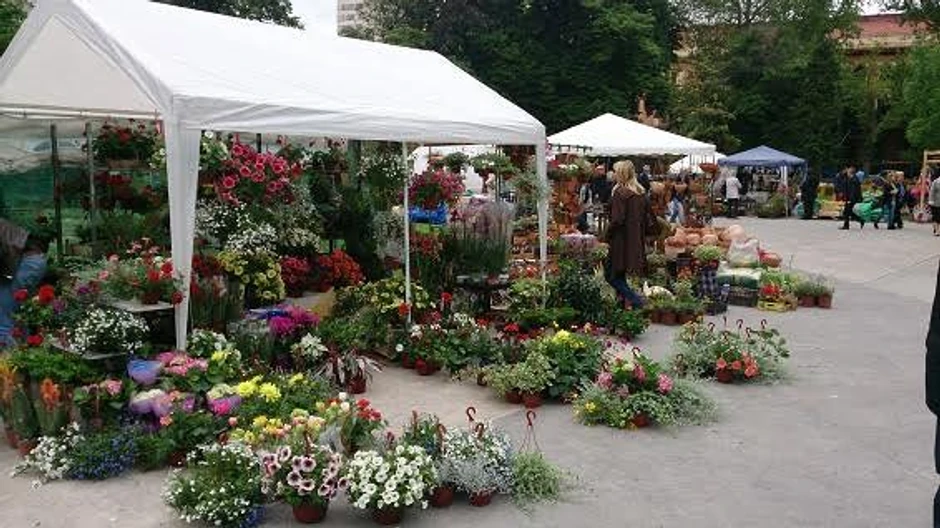 Na izložbi  "Sunce i cveće" biće sadnice lišćara, četinara i ukrasnog šiblja