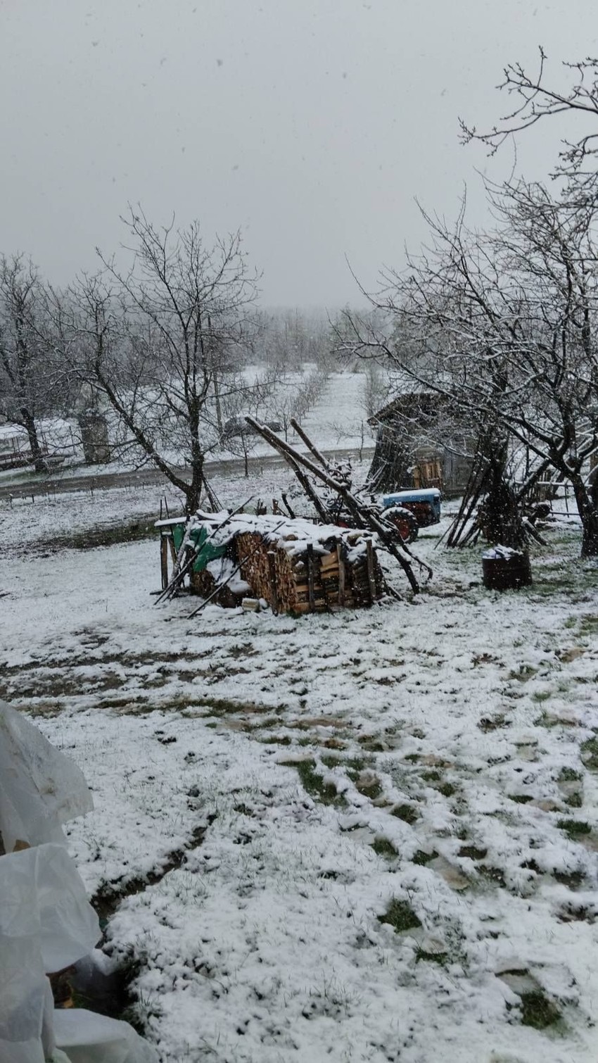 Selo Kosmača, Kuršumlija