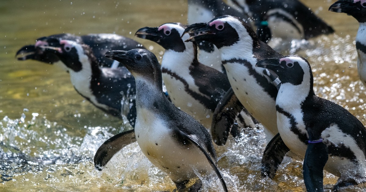 Mała Azja w centrum Polski. Orientarium w Łodzi przyciąga tłumy
