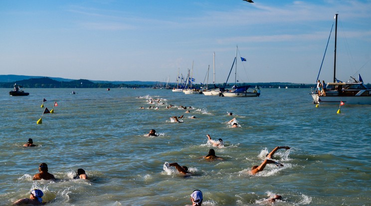 A 38. Lidl Balaton-átúszás teljes távjának résztvevői a révfülöpi rajt után 2020. augusztus 1-jén. A versenyzők 5,2 kilométeres távot teljesítenek. / Fotó: MTI/Vasvári Tamás