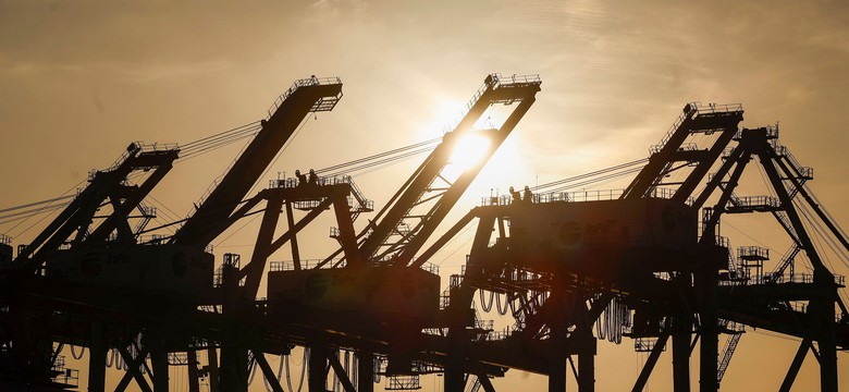 Ekspert zwiastuje światowy kryzys. "Wytrzymamy najdłużej trzy tygodnie"