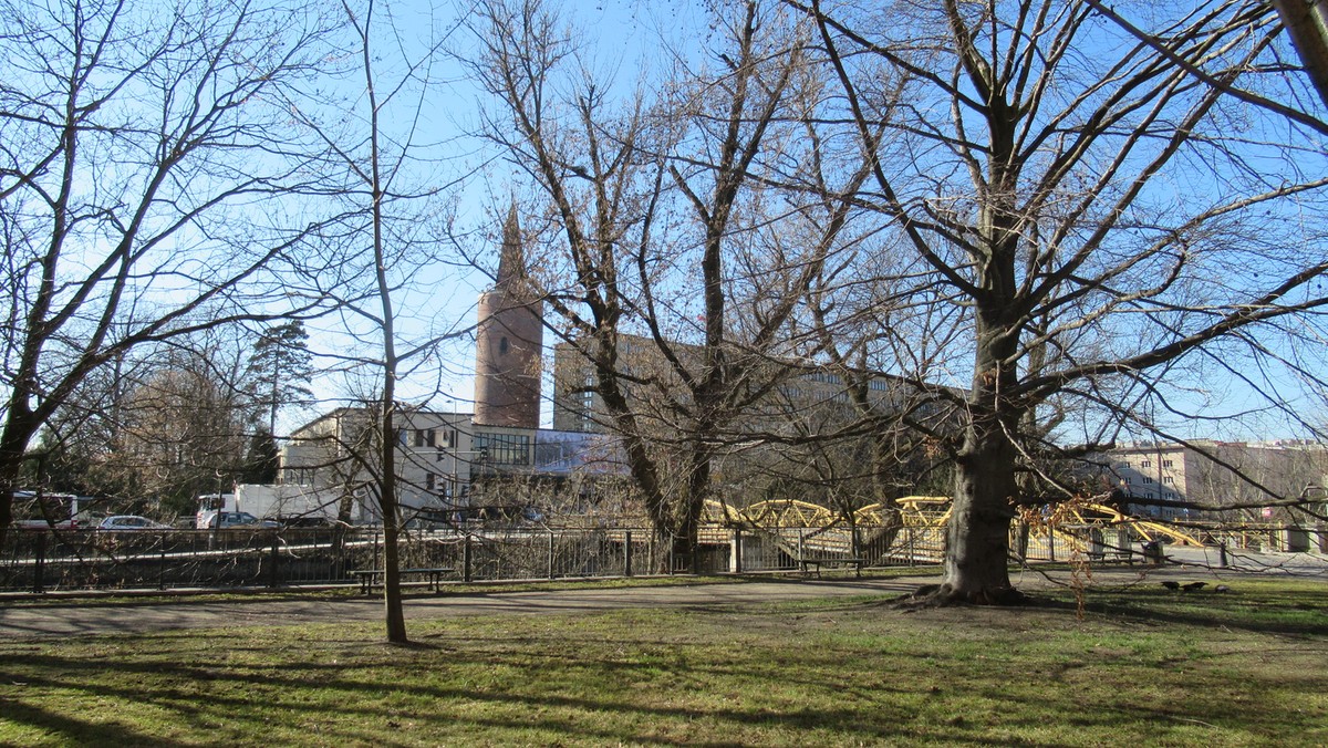 Park o powierzchni od 10-15 hektarów powstanie na terenie miasta. Dokładna lokalizacja nie jest jeszcze znana; prezydent nie zdradza szczegółów, ale wiadomo, że nasadzenia będą wykonywane przez mieszkańców.