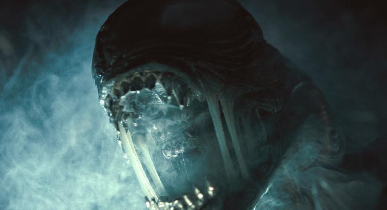 A Xenomorph in Alien: Romulus.20th Century Studios